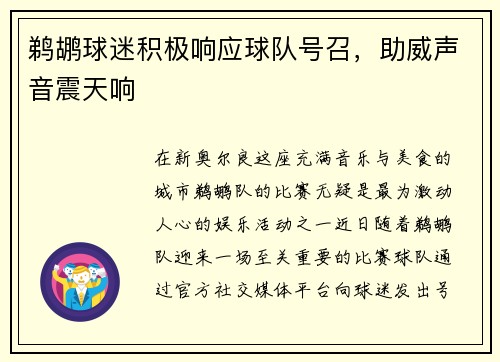 鹈鹕球迷积极响应球队号召，助威声音震天响