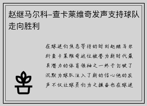 赵继马尔科-查卡莱维奇发声支持球队走向胜利
